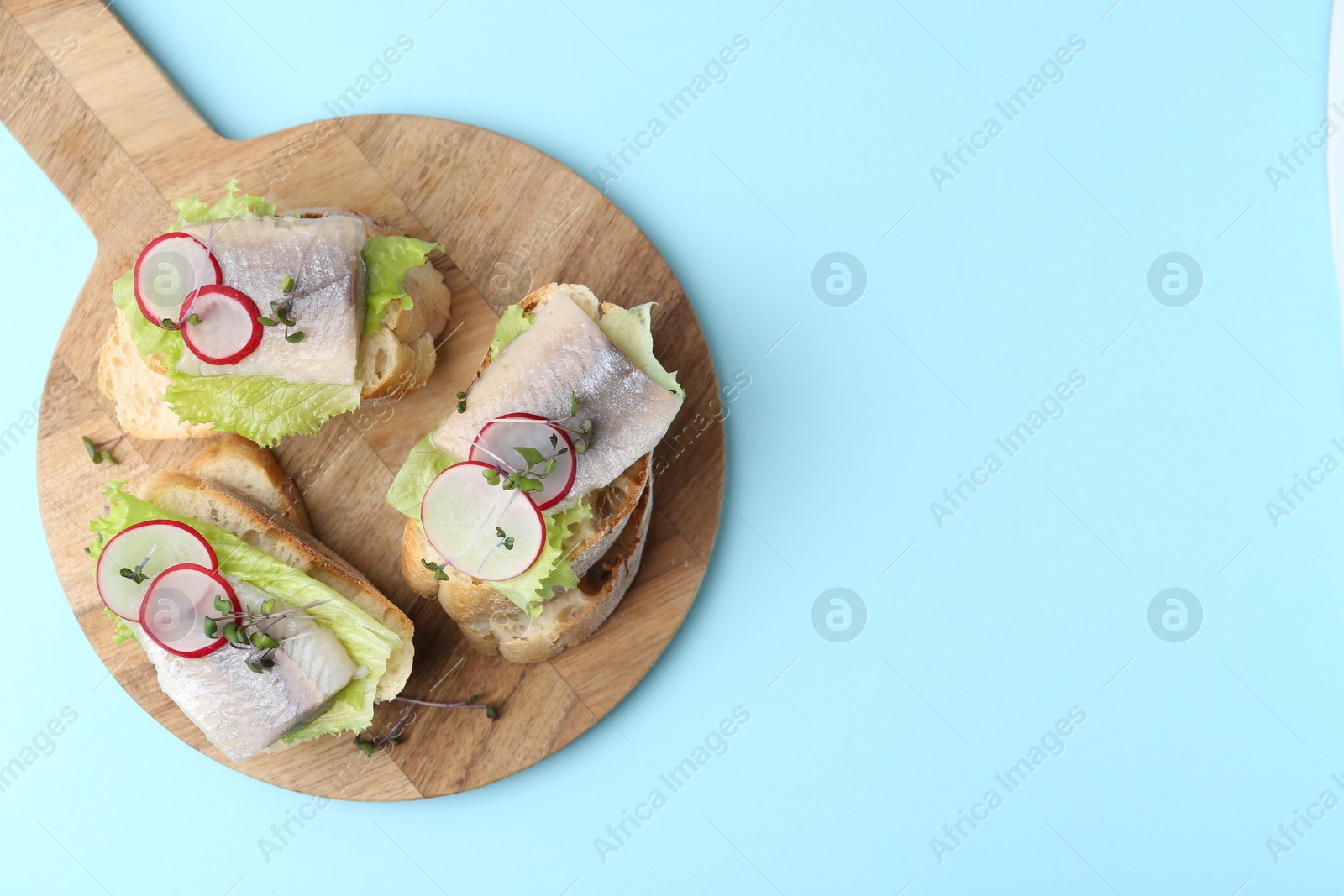 Photo of Tasty sandwiches with herring, radish and lettuce on light blue background, top view. Space for text