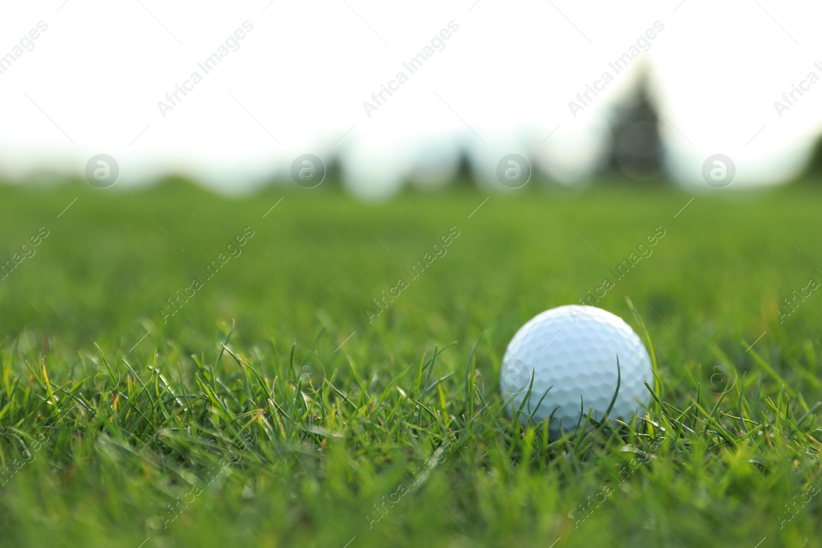 Photo of Golf ball on green course, space for text