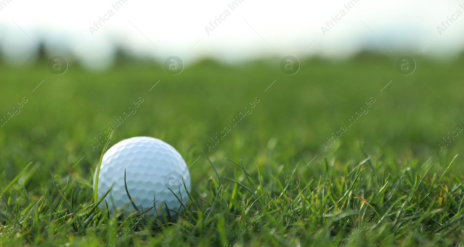 Photo of Golf ball on green course, closeup. Space for text