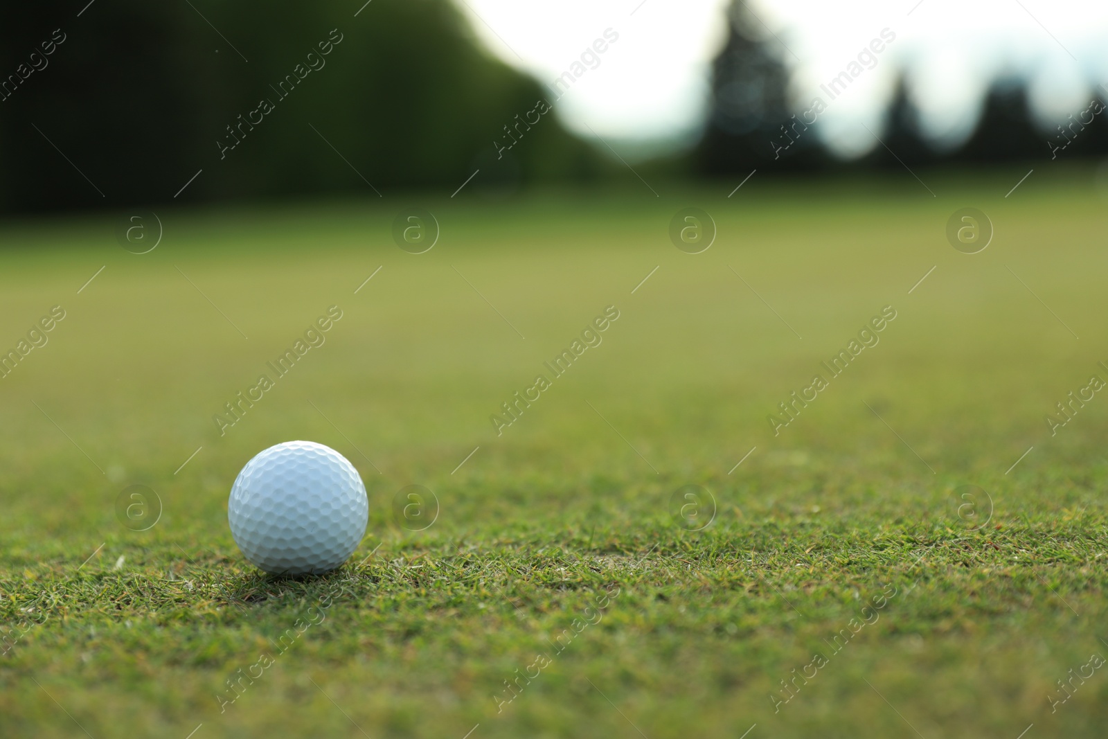 Photo of Golf ball on green course, space for text