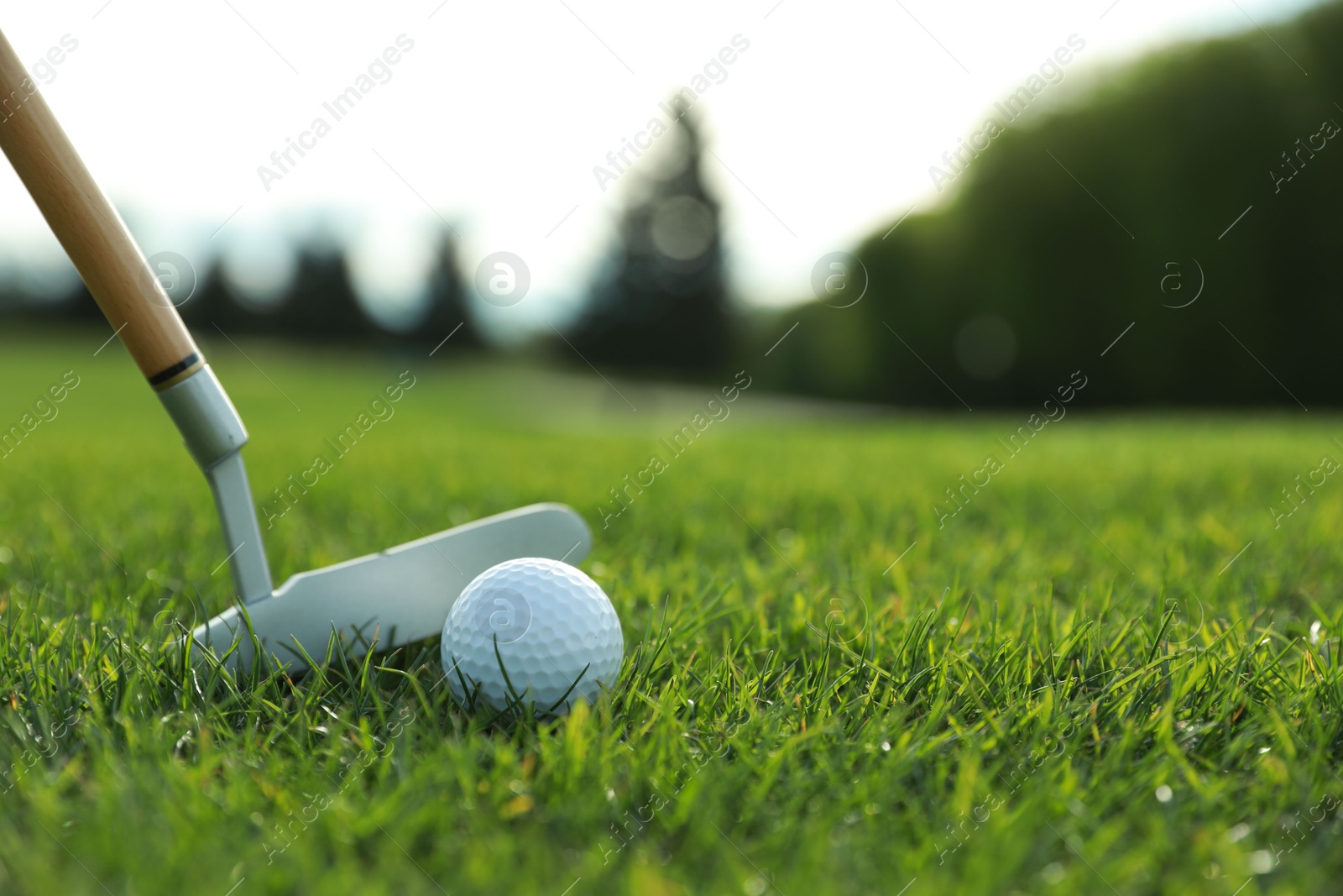 Photo of Hitting golf ball with club on green course, closeup. Space for text