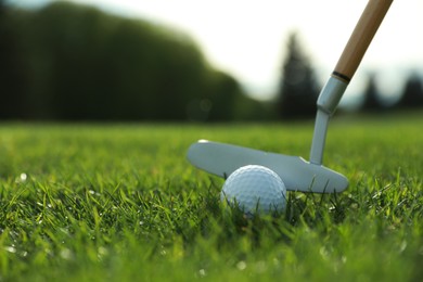 Photo of Hitting golf ball with club on green course, closeup. Space for text