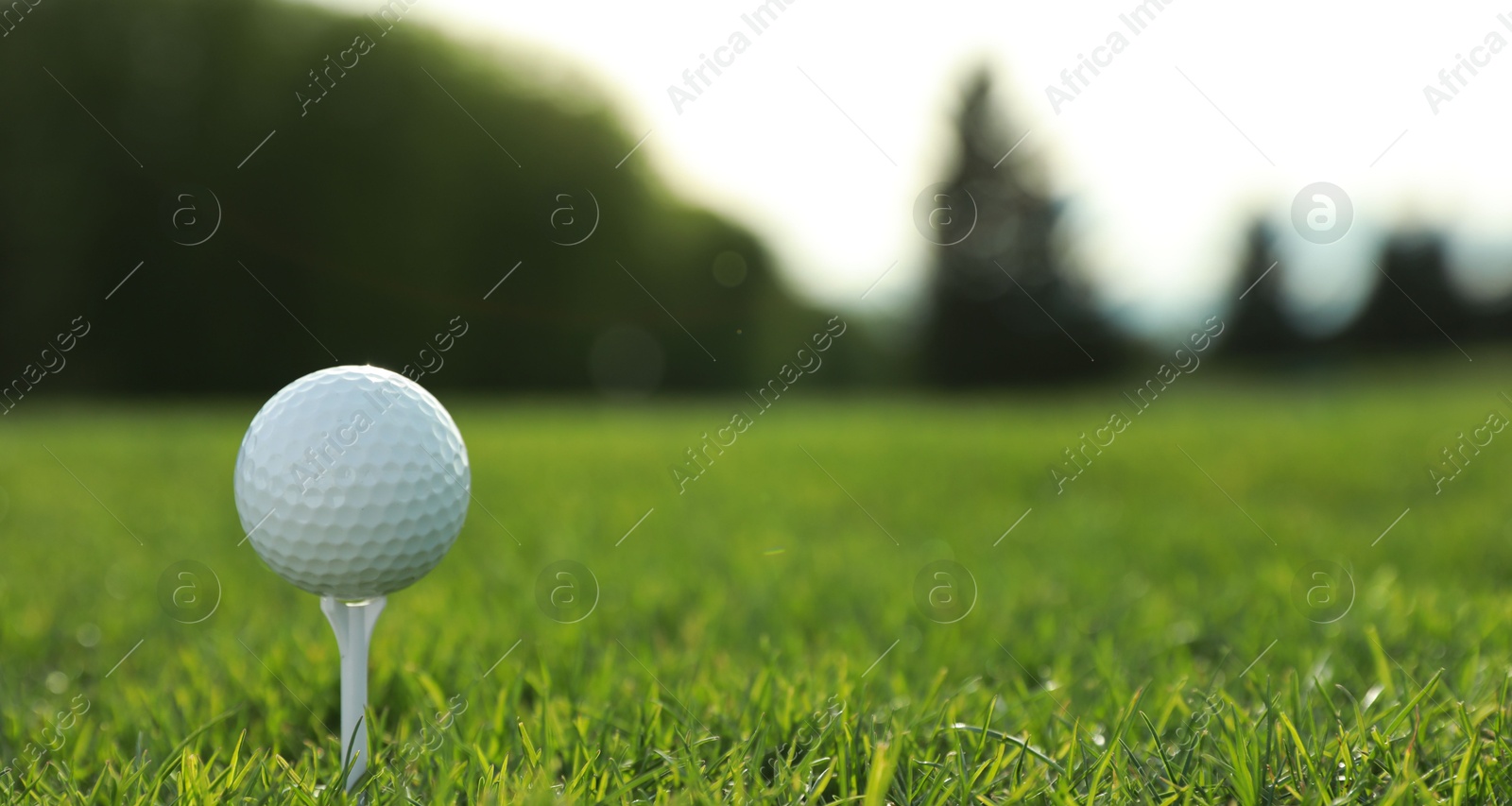 Photo of Golf ball on tee at green course, space for text