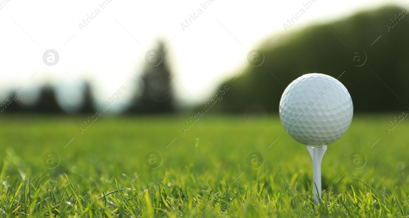 Photo of Golf ball on tee at green course, space for text