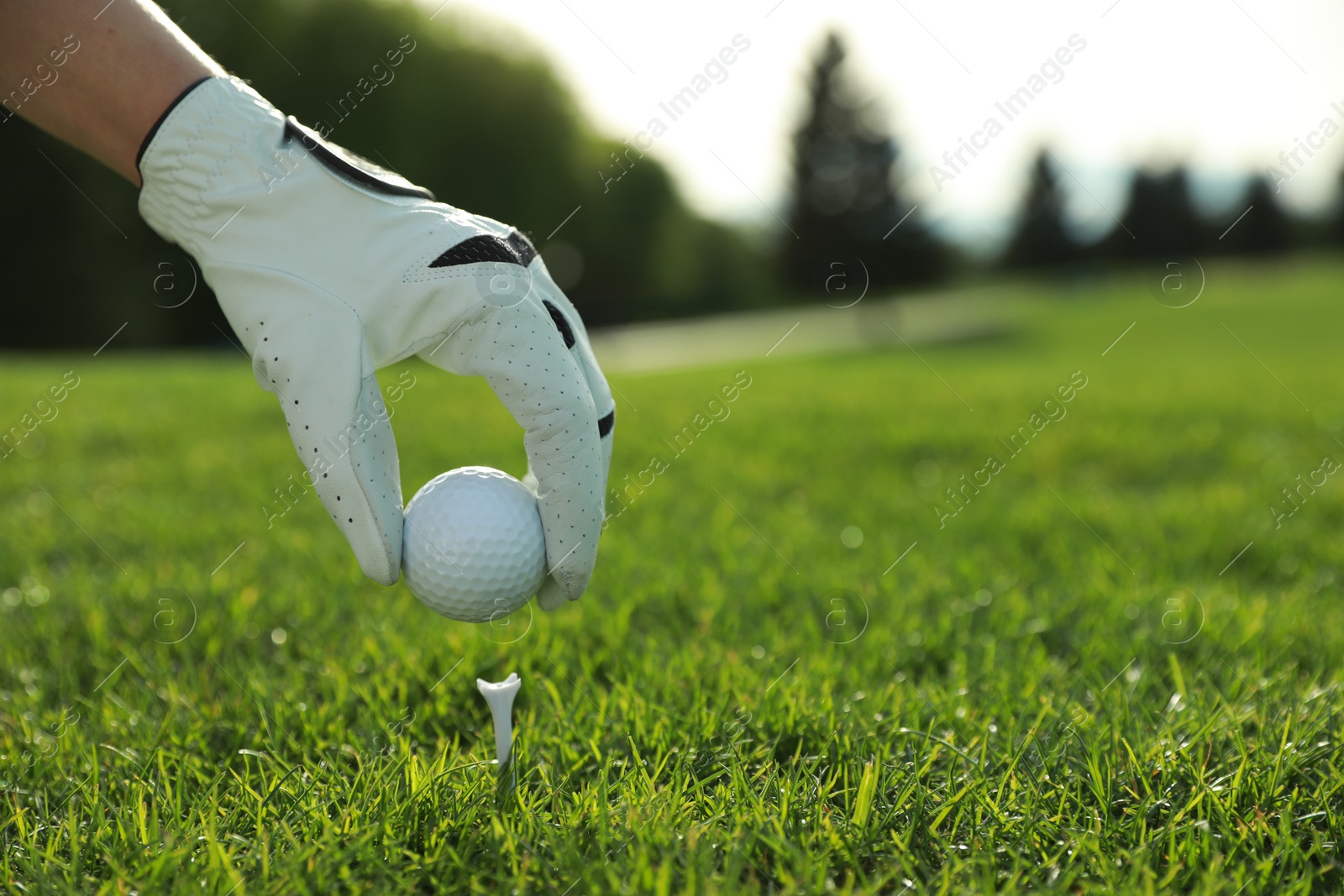 Photo of Golfer putting ball on tee at green course, closeup. Space for text