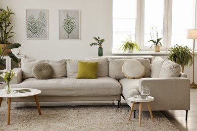 Photo of Feng shui. Stylish room with comfortable couch and houseplants