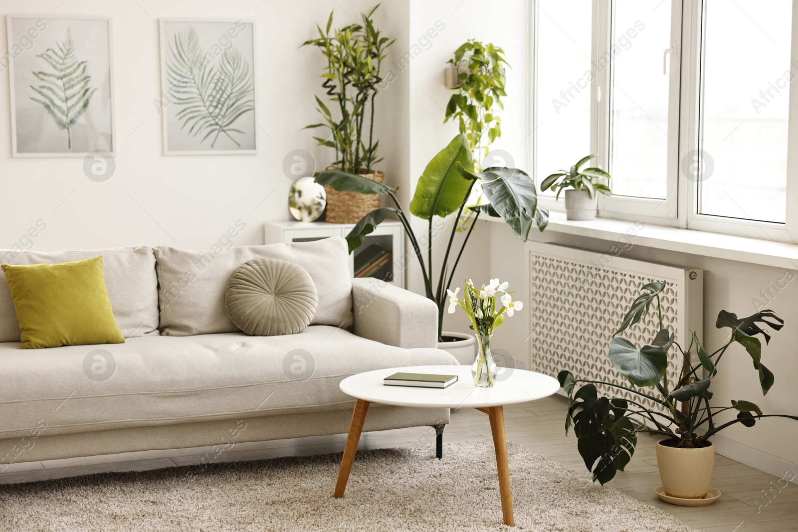 Photo of Feng shui. Stylish room with comfortable couch and houseplants