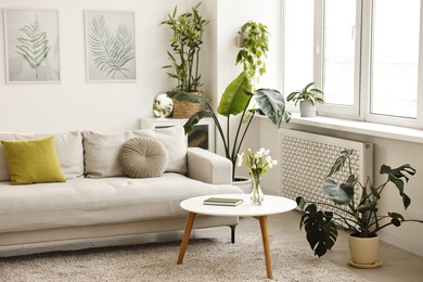 Feng shui. Stylish room with comfortable couch and houseplants