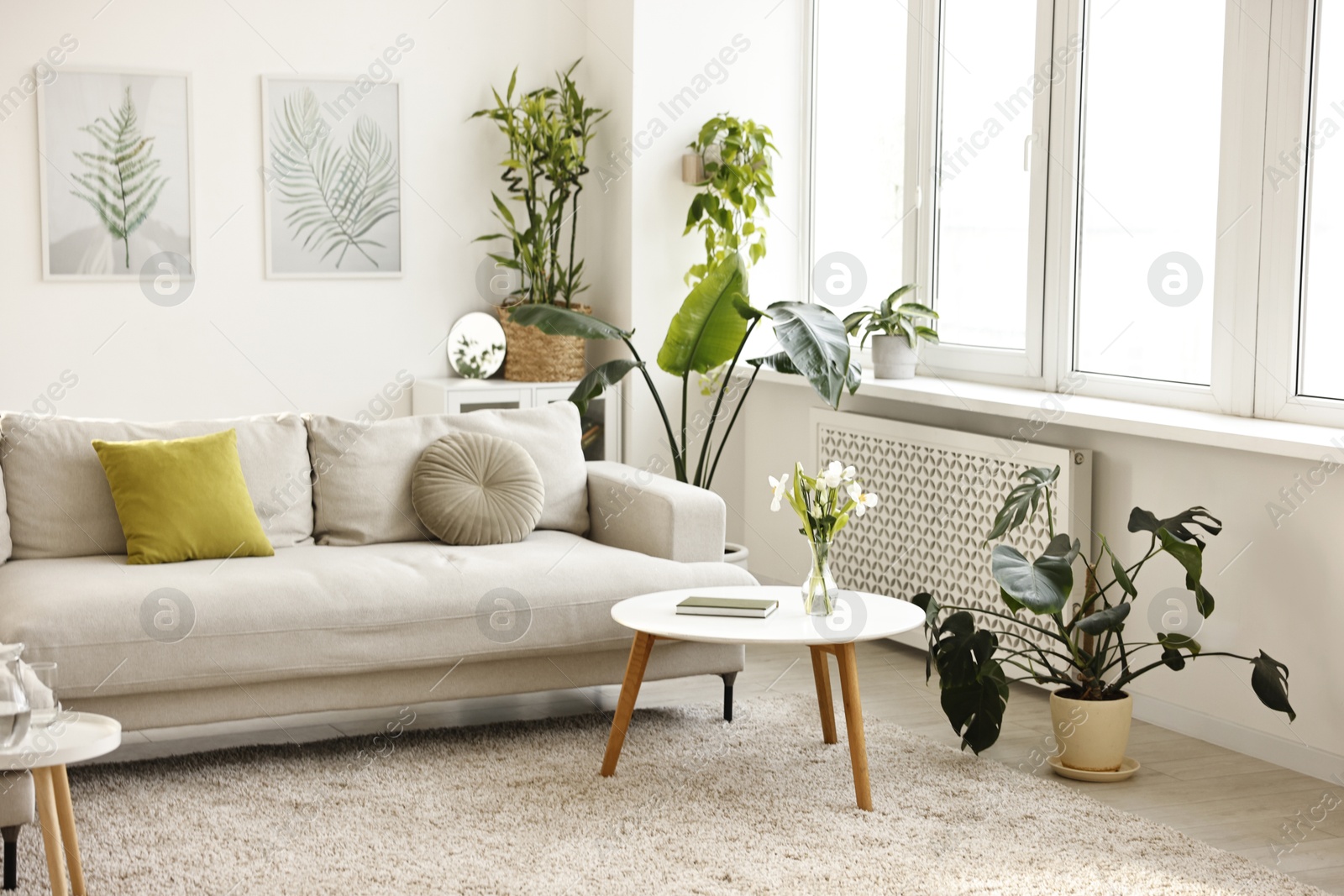 Photo of Feng shui. Stylish room with comfortable couch and houseplants