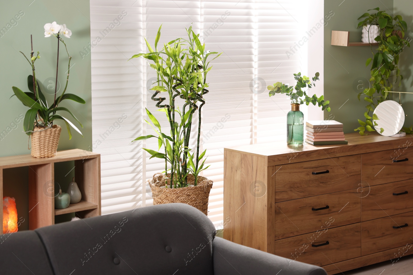 Photo of Feng shui. Stylish room with comfortable couch and houseplants