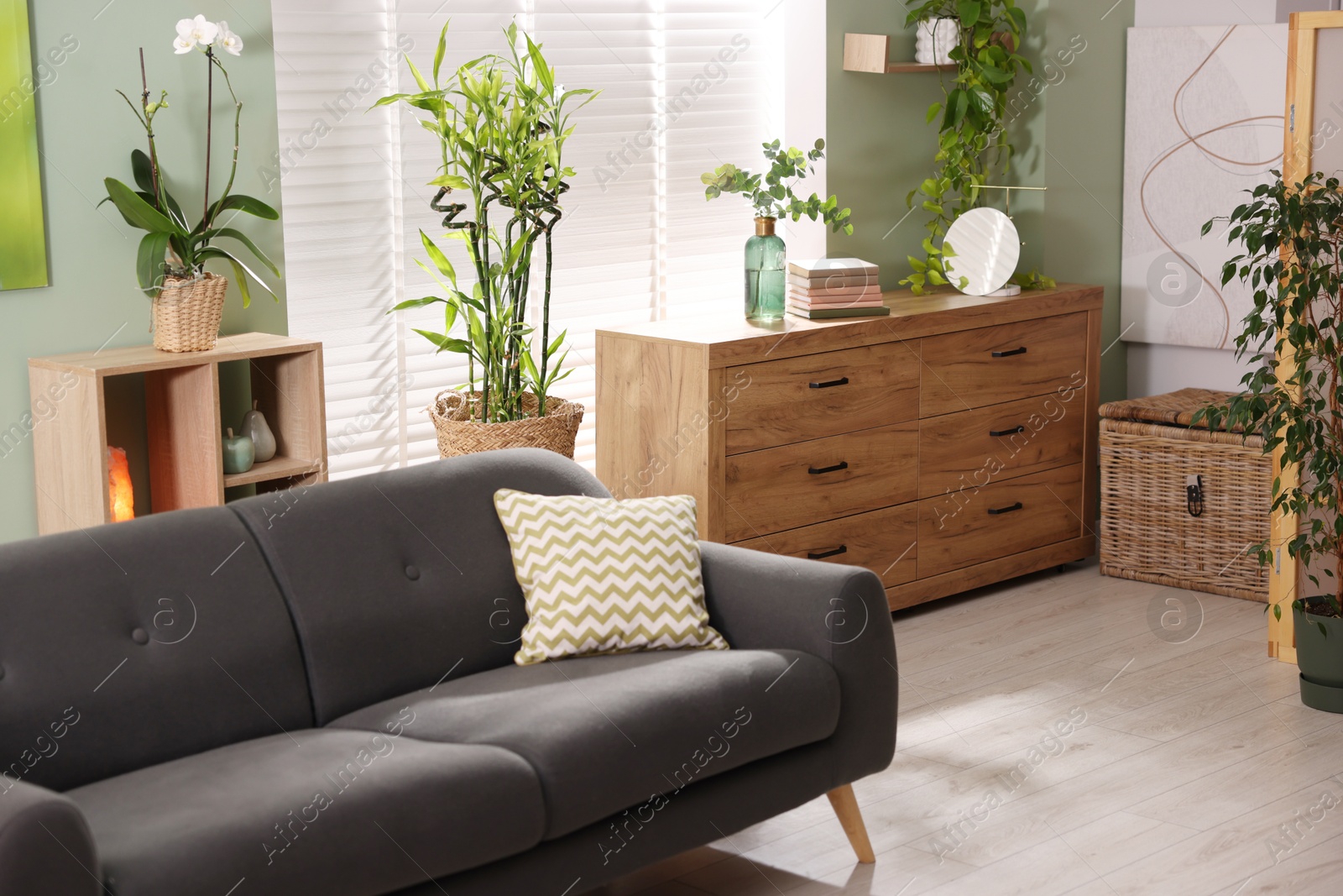 Photo of Feng shui. Stylish room with comfortable couch and houseplants