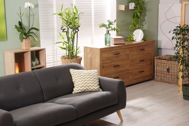 Feng shui. Stylish room with comfortable couch and houseplants