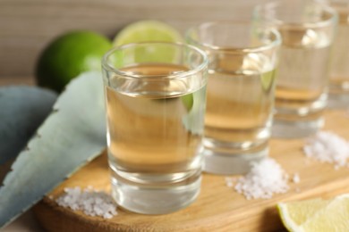 Tequila shots with salt, limes and agave leaves on table, closeup