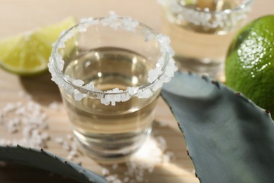 Photo of Tequila shot with salt, limes and agave leaves on table, closeup