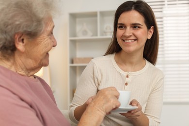 Granddaughter giving hot drink to her grandmother at home. Elderly care