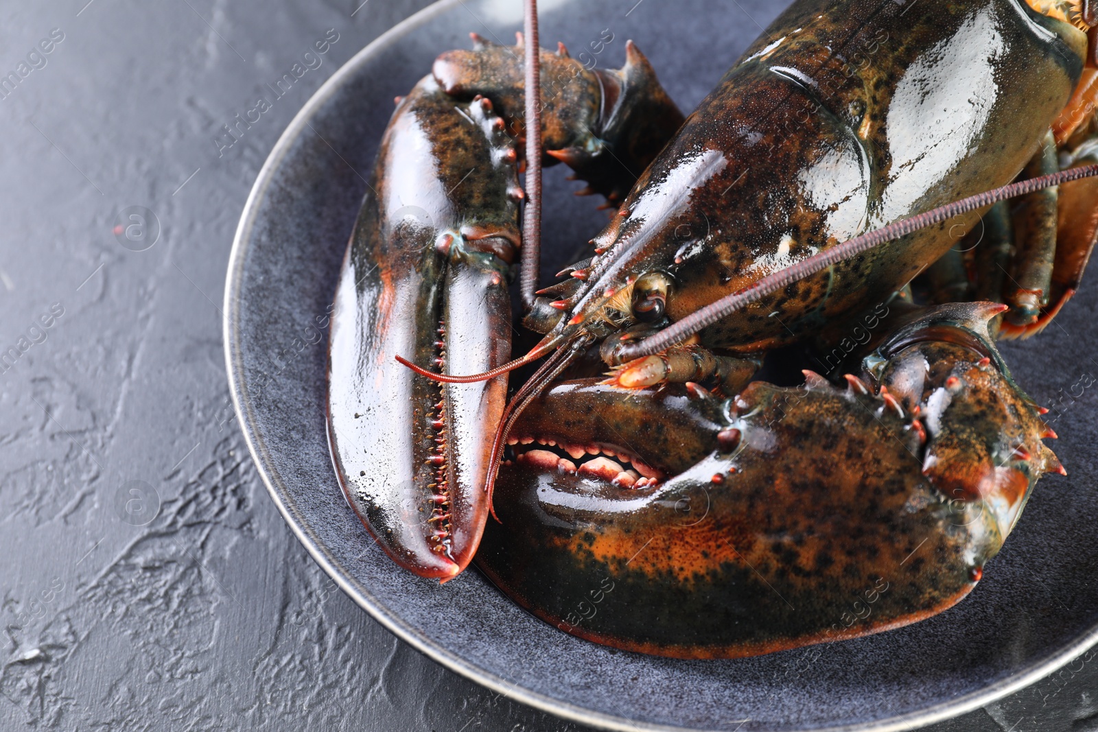 Photo of One raw lobster on black table, closeup