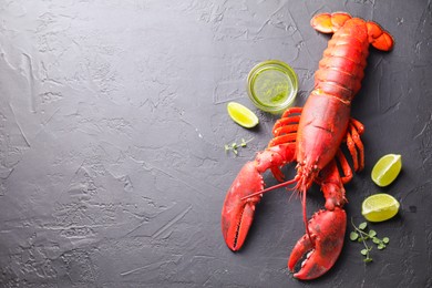 Delicious boiled lobster with lime pieces, oil and microgreens on black table, flat lay. Space for text