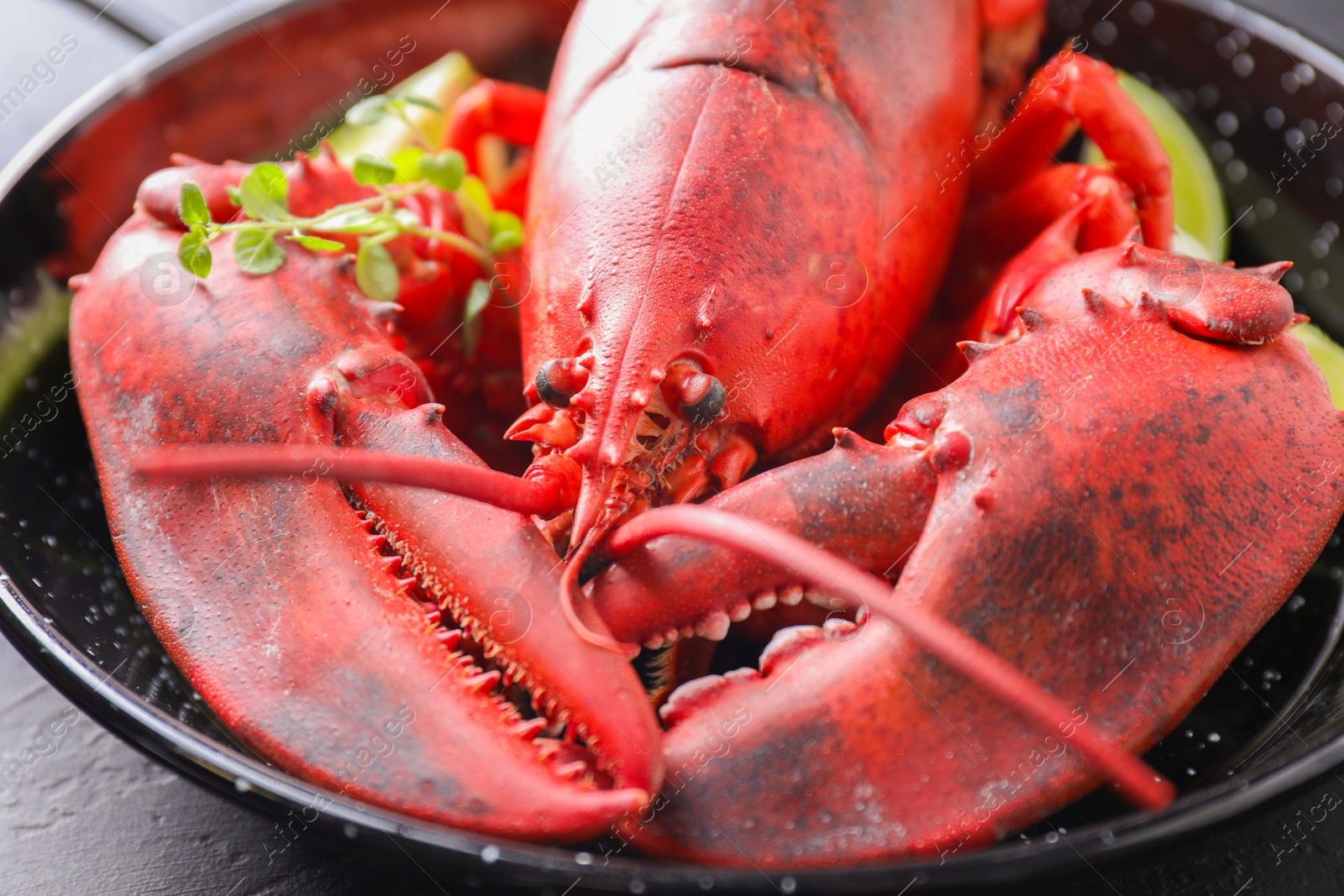 Photo of Delicious boiled lobster with microgreens on black table, closeup