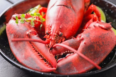 Photo of Delicious boiled lobster with microgreens on black table, closeup