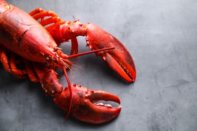 Photo of Delicious boiled lobster on grey table, top view