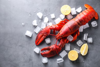 Photo of Delicious boiled lobster with ice cubes and lemon pieces on grey table, flat lay