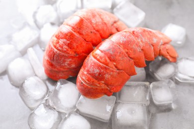 Photo of Tails of boiled lobsters with ice cubes on grey table, closeup