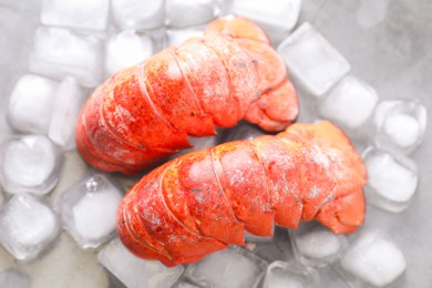 Photo of Tails of boiled lobsters with ice cubes on grey table, flat lay