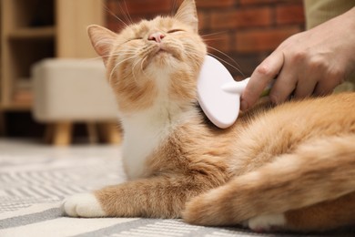 Photo of Woman brushing cat's hair on floor at home, closeup. Pet grooming