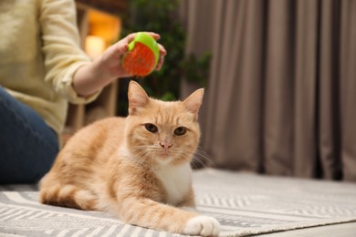 Photo of Woman brushing cat's hair on floor at home, closeup with space for text. Pet grooming