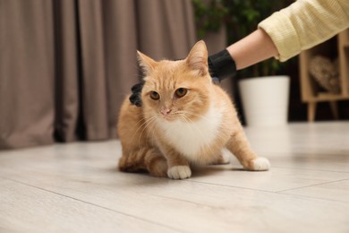 Photo of Woman brushing cat's hair with glove on floor at home, closeup. Pet grooming