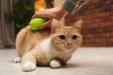 Photo of Woman brushing cat's hair on floor at home, closeup. Pet grooming