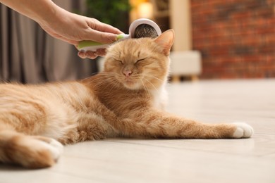 Photo of Woman brushing cat's hair on floor at home, closeup. Pet grooming