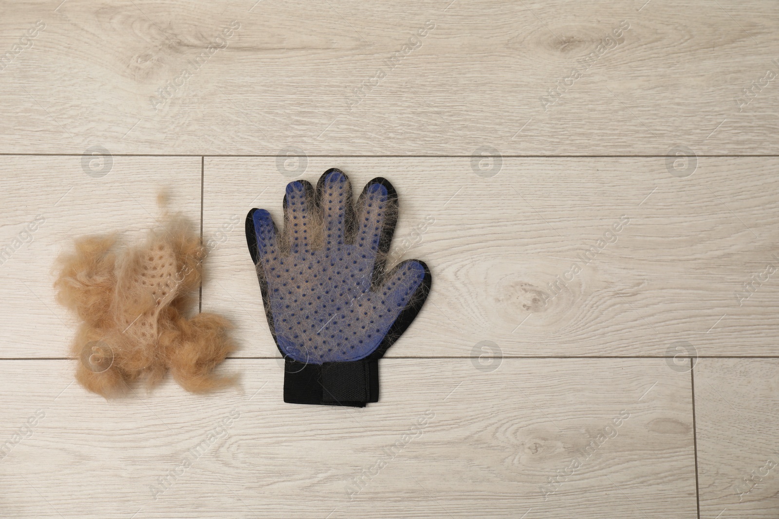 Photo of Grooming glove and pile of pet's hair on floor, top view. Space for text