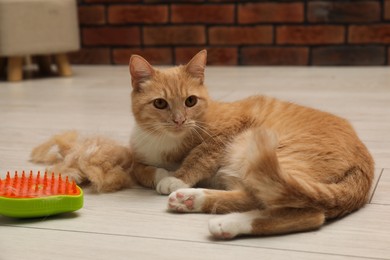 Photo of Cute ginger cat, brush and pile of pet's hair on floor at home