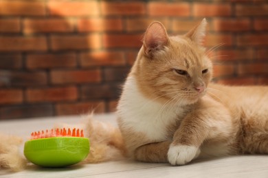 Photo of Cute ginger cat, brush and pile of pet's hair on floor at home, closeup