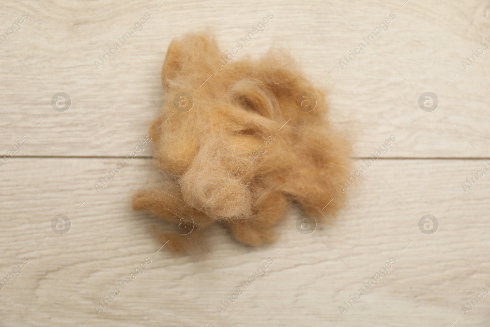 Photo of Pile of pet's hair on wooden floor, above view