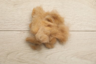 Pile of pet's hair on wooden floor, above view