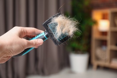 Woman holding grooming brush with pet's hair at home, closeup. Space for text