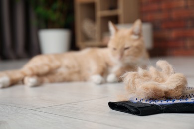 Grooming glove with pet's hair and cat on floor indoors, selective focus