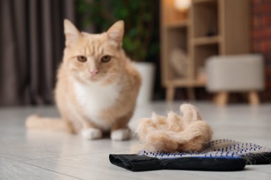 Grooming glove with pet's hair and cat on floor indoors, selective focus