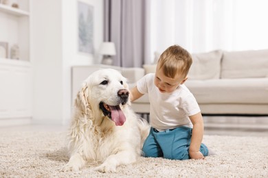 Photo of Little boy with cute dog on carpet at home