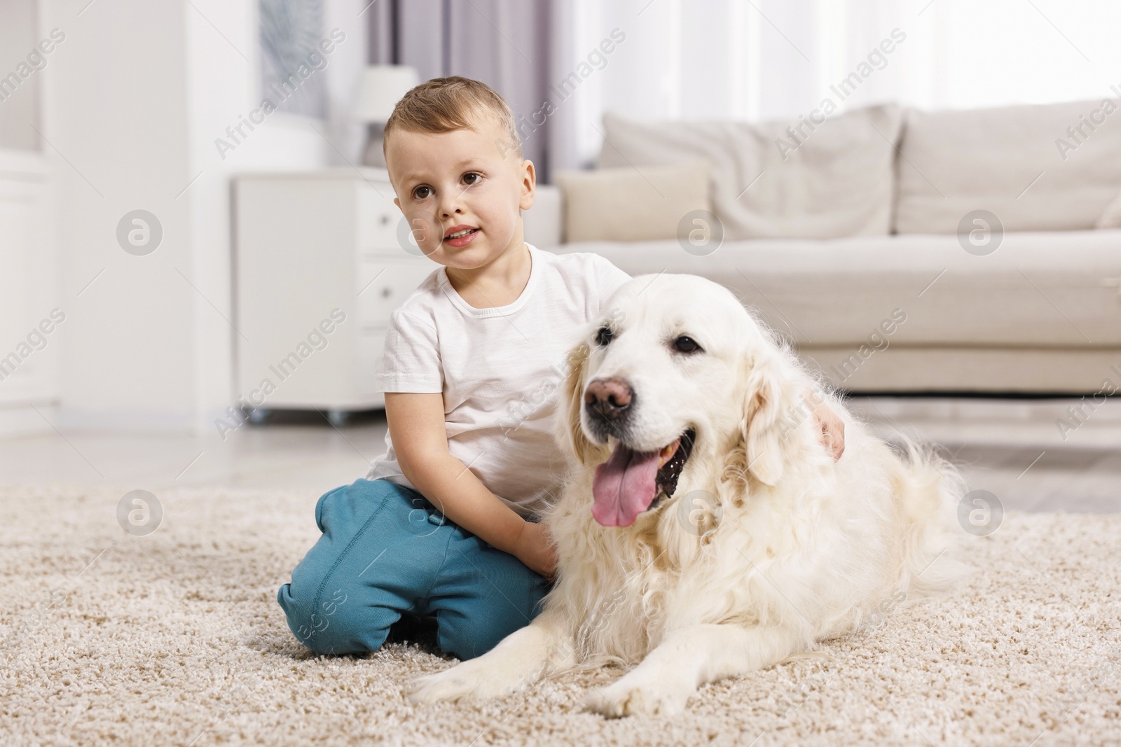 Photo of Little boy with cute dog on carpet at home