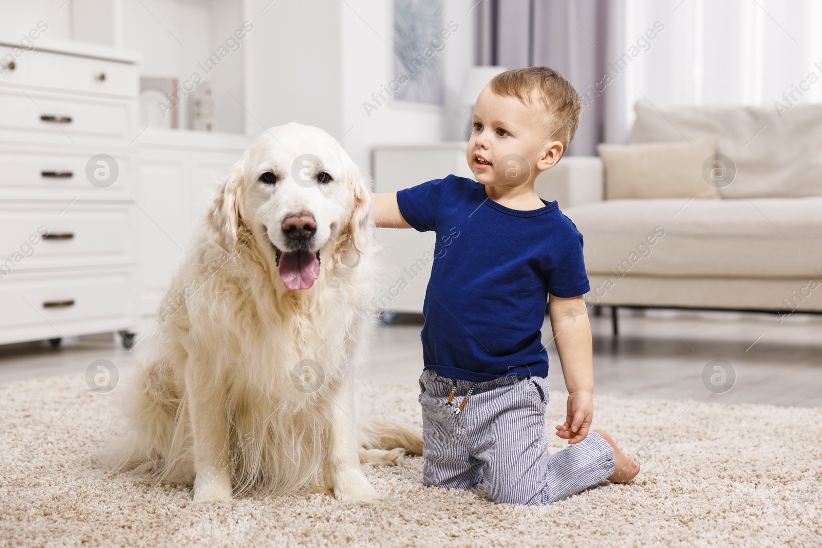 Photo of Little boy with cute dog on carpet at home