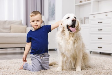 Photo of Little boy with cute dog on carpet at home