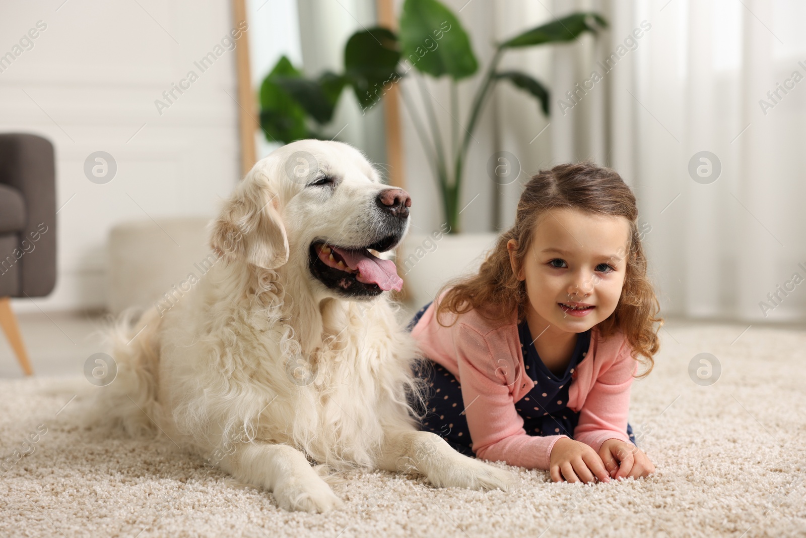 Photo of Little girl with cute dog on carpet at home