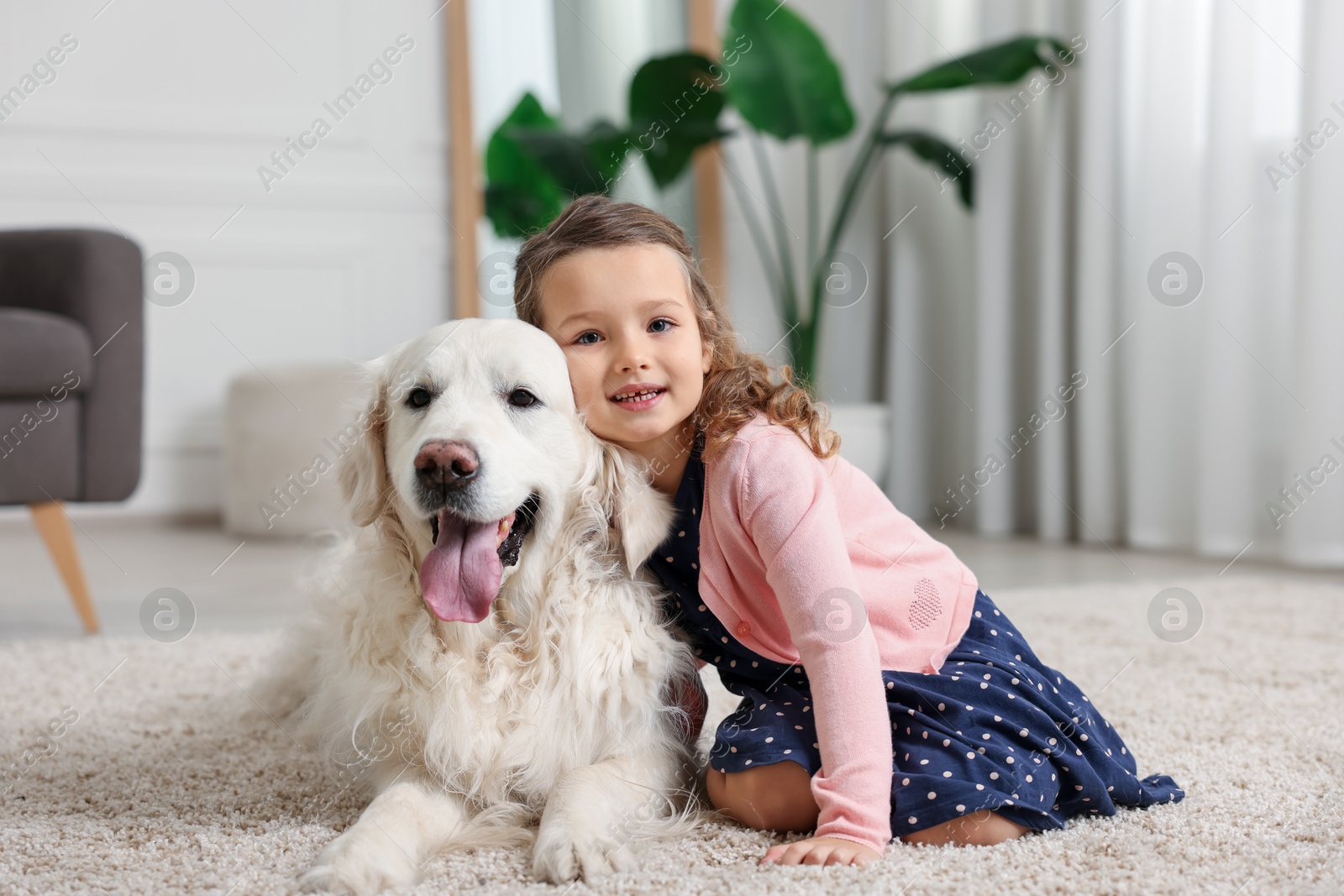 Photo of Little girl with cute dog on carpet at home