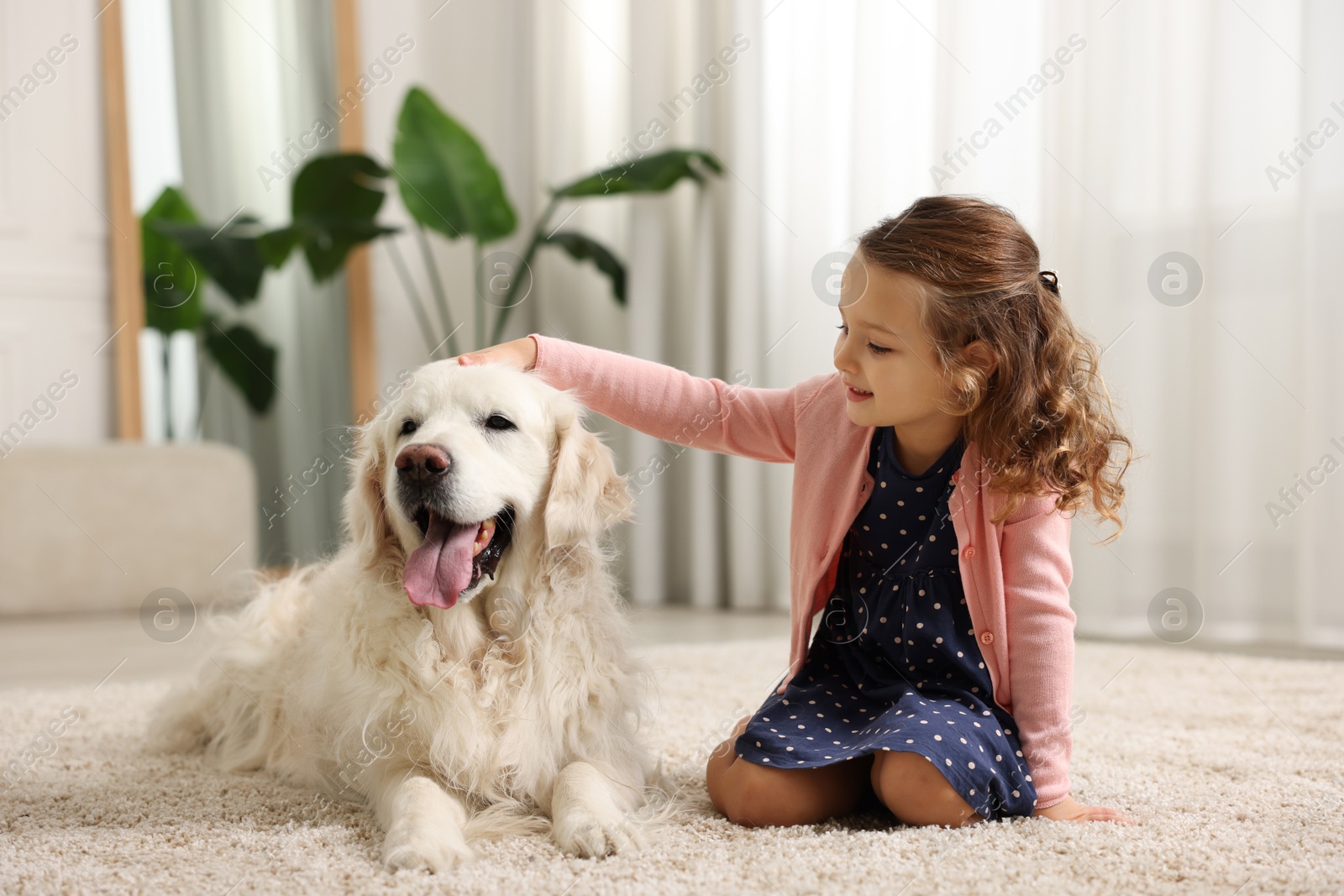 Photo of Little girl with cute dog on carpet at home