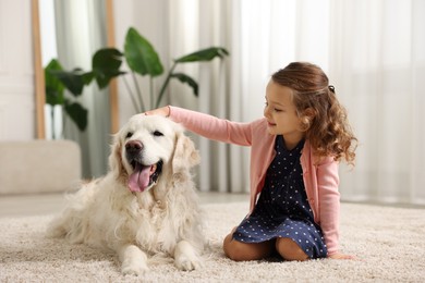 Photo of Little girl with cute dog on carpet at home