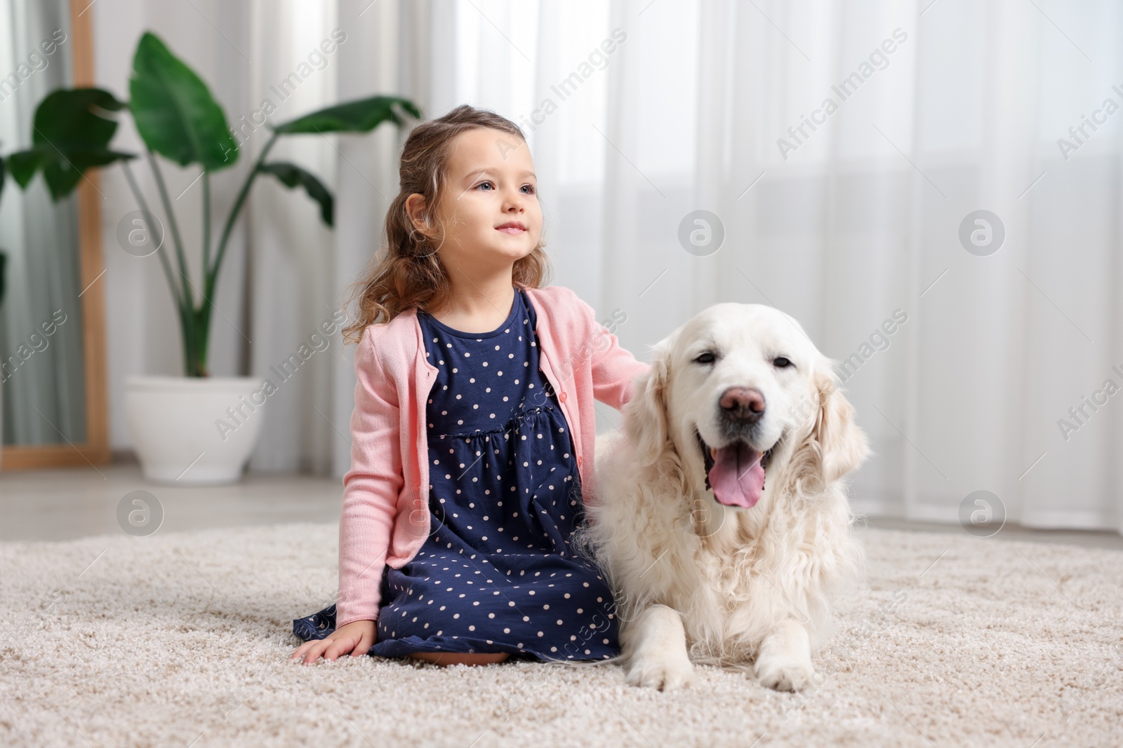 Photo of Little girl with cute dog on carpet at home