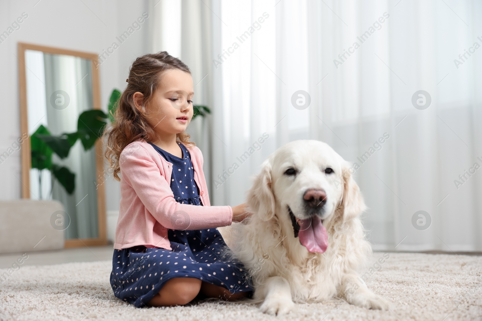 Photo of Little girl with cute dog on carpet at home